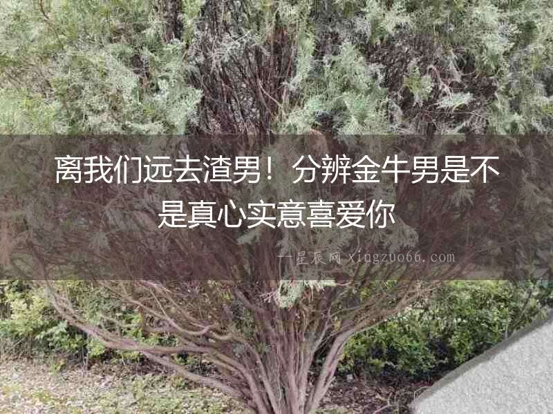 離我們遠去渣男！分辨金牛男是不是真心實意喜愛你