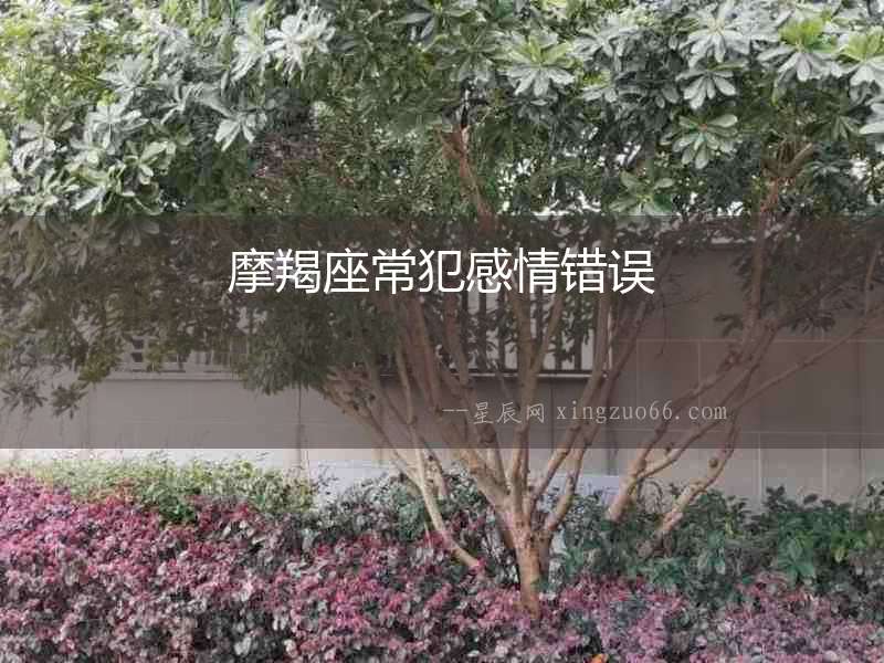 摩羯座常犯感情錯誤