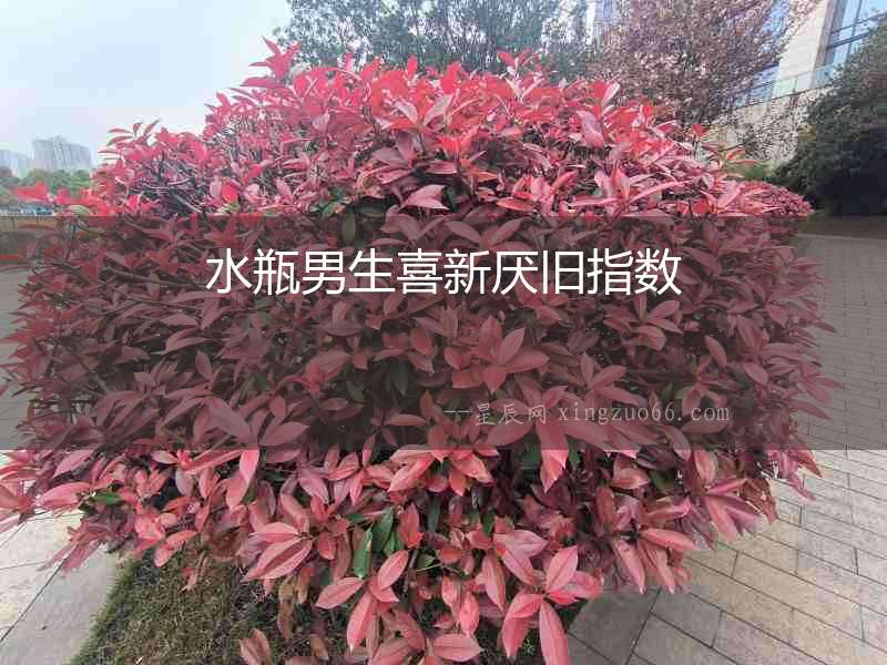 水瓶男生喜新厭舊指數