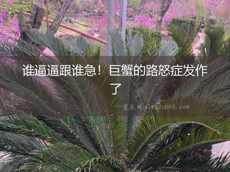 誰逼逼跟誰急！巨蟹的路怒癥發(fā)作了
