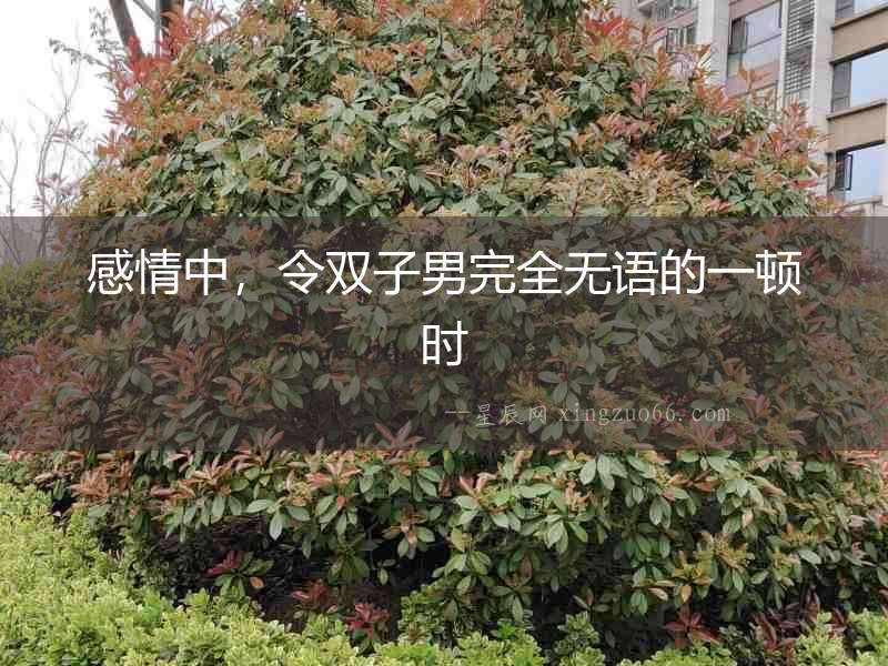 感情中，令雙子男完全無語的一頓時