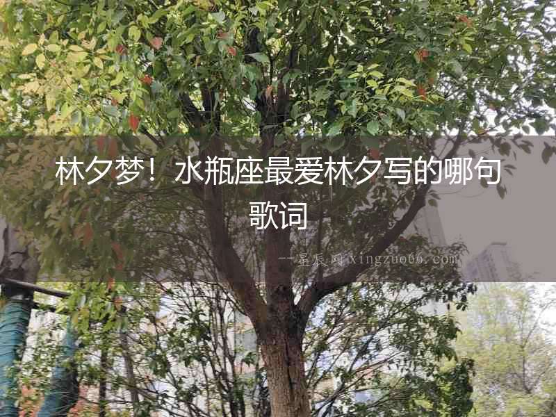 林夕夢！水瓶座最愛林夕寫的哪句歌詞