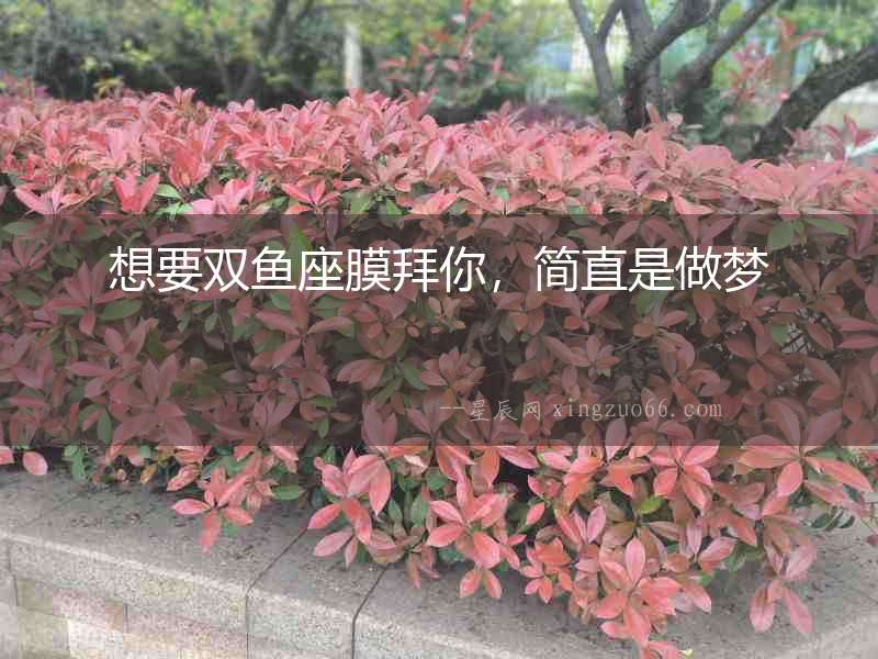 想要雙魚座膜拜你，簡直是做夢