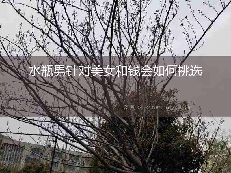 水瓶男針對(duì)美女和錢會(huì)如何挑選