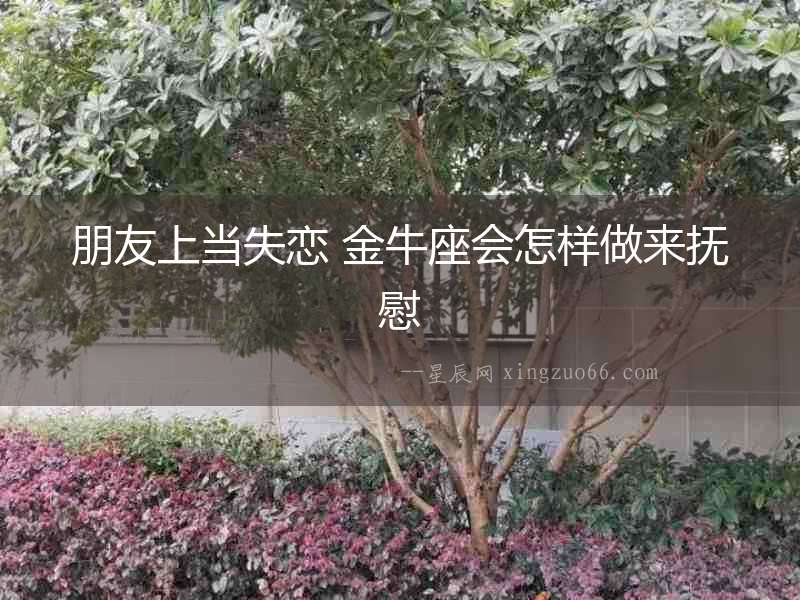 朋友上當失戀 金牛座會怎樣做來撫慰