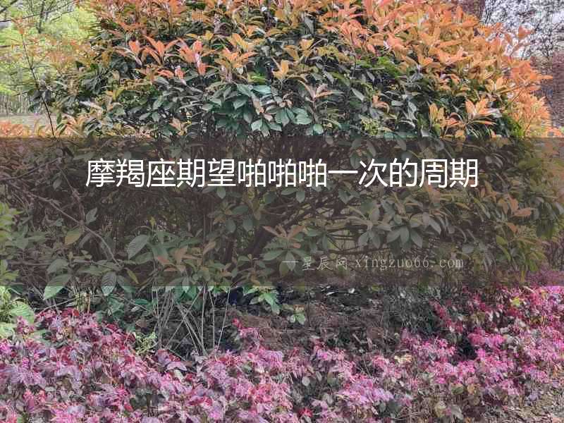 摩羯座期望啪啪啪一次的周期