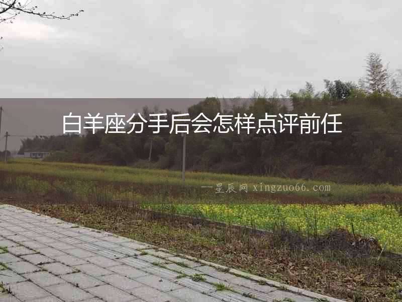 白羊座分手后會怎樣點評前任