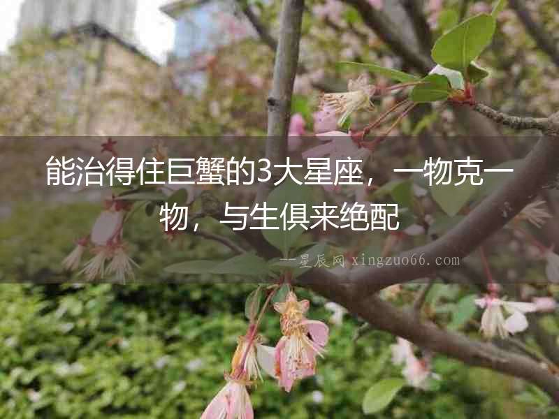 能治得住巨蟹的3大星座，一物克一物，與生俱來絕配