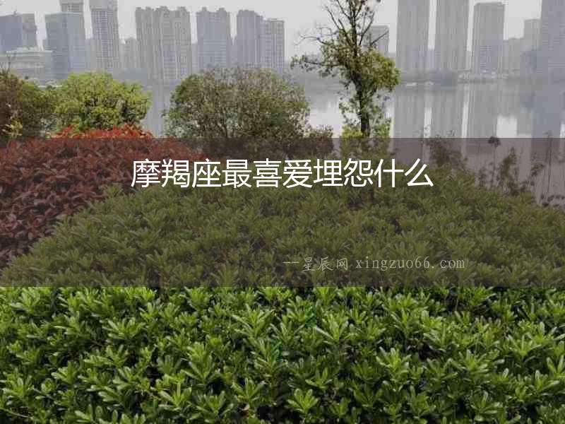 摩羯座最喜愛埋怨什么