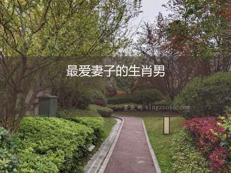 最?lèi)?ài)妻子的生肖男