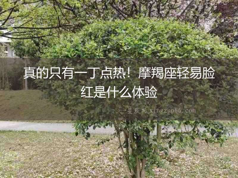 真的只有一丁點(diǎn)熱！摩羯座輕易臉紅是什么體驗(yàn)