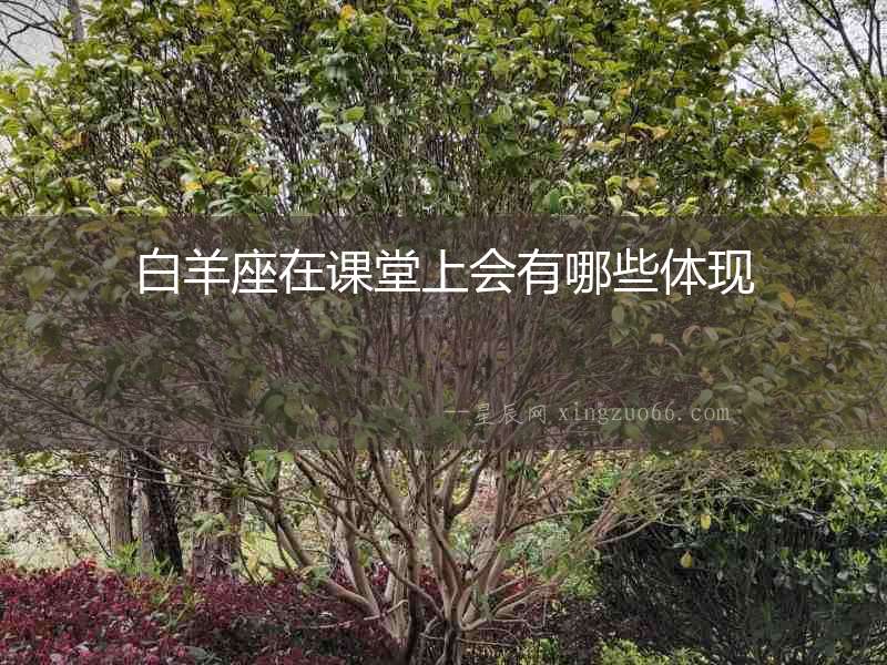 白羊座在課堂上會有哪些體現(xiàn)