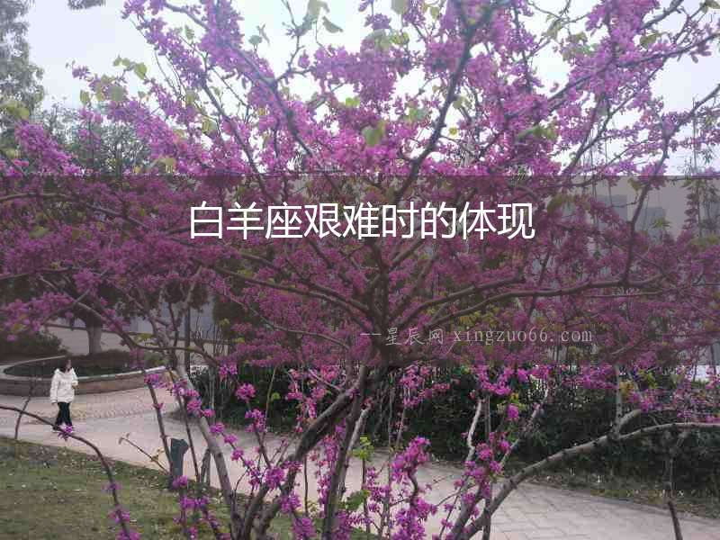 白羊座艱難時(shí)的體現(xiàn)