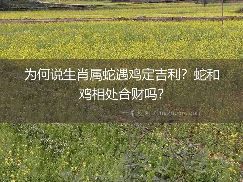 為何說生肖屬蛇遇雞定吉利？蛇和雞相處合財嗎？