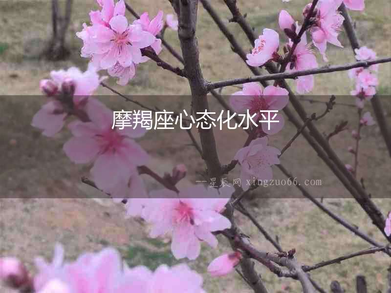 摩羯座心態化水平