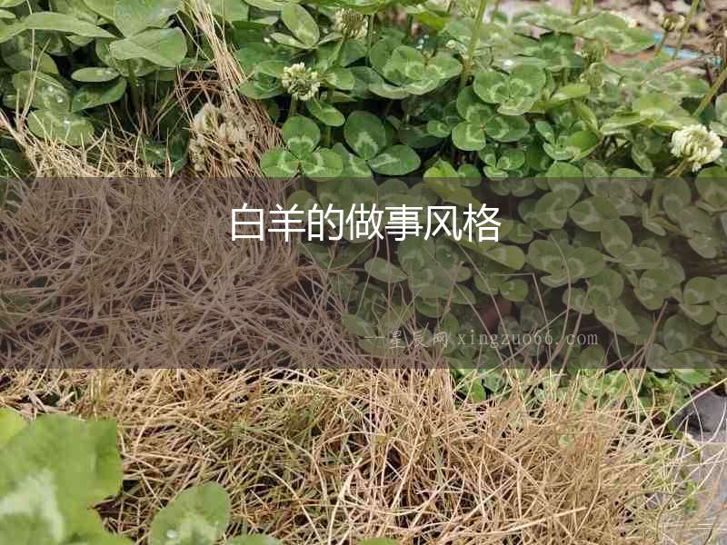 白羊的做事風格