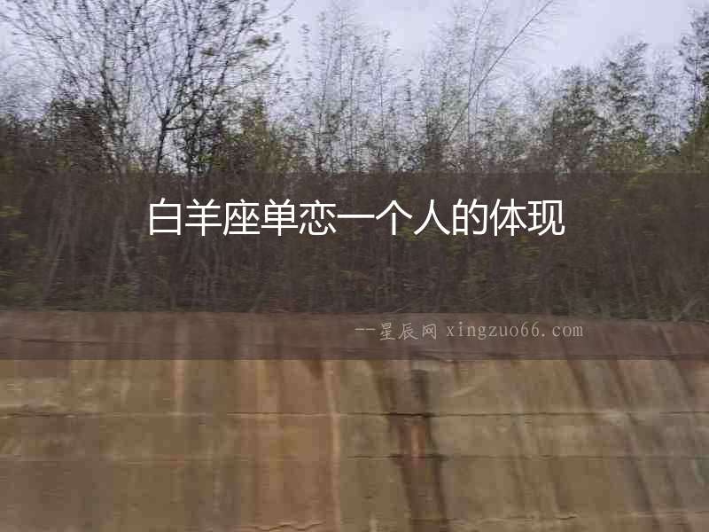白羊座單戀一個人的體現