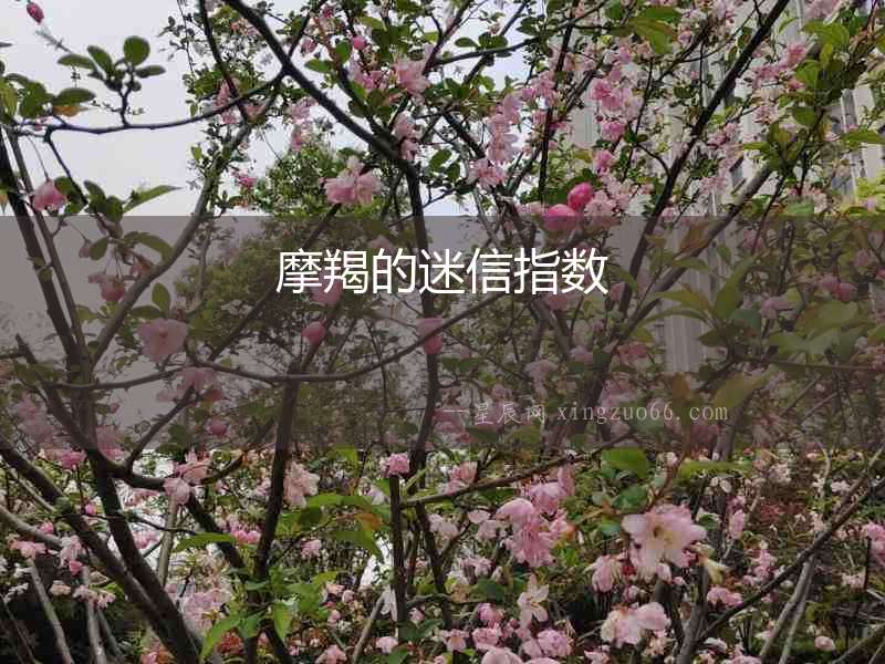 摩羯的迷信指數(shù)
