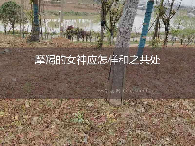 摩羯的女神應(yīng)怎樣和之共處