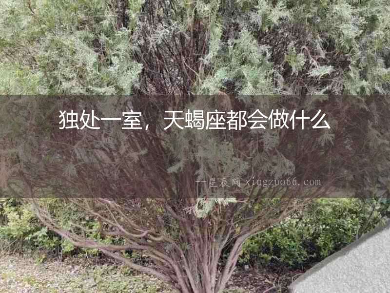 獨處一室，天蝎座都會做什么