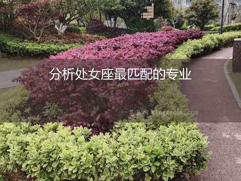 分析處女座最匹配的專業(yè)