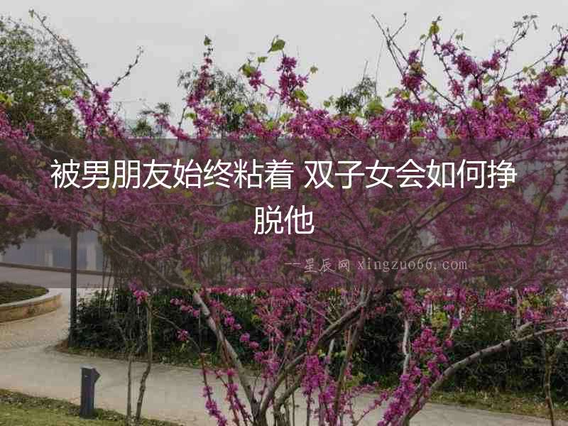 被男朋友始終粘著 雙子女會(huì)如何掙脫他