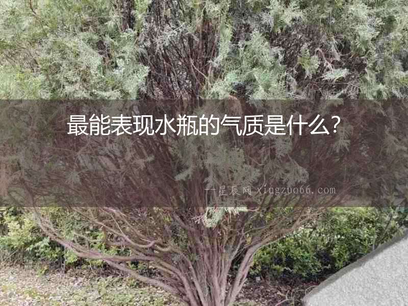 最能表現水瓶的氣質是什么？