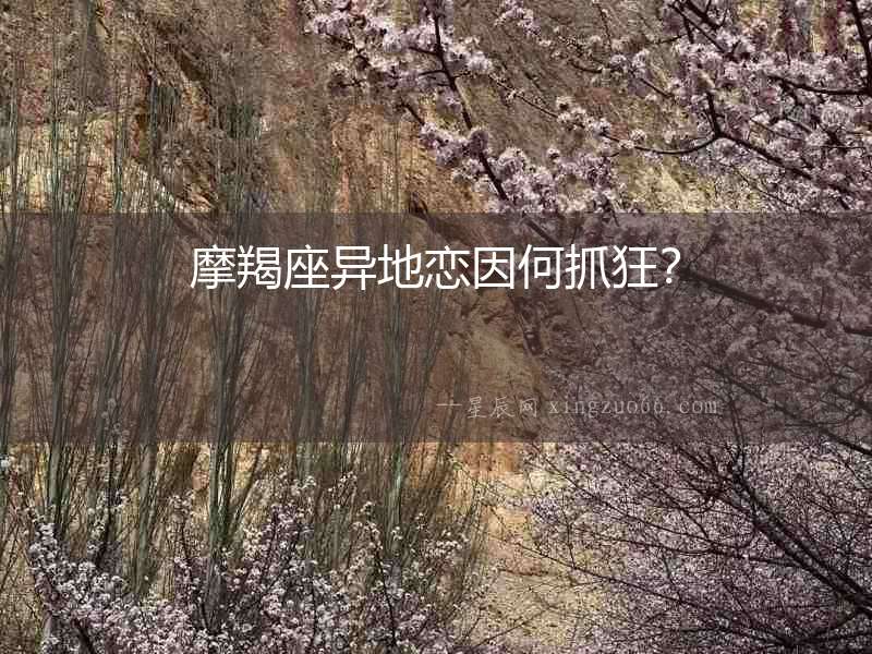 摩羯座異地戀因何抓狂？