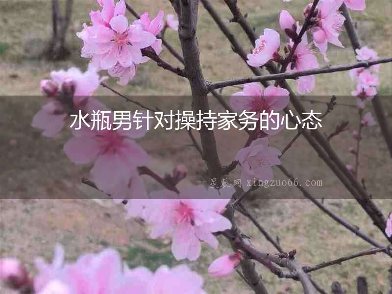 水瓶男針對操持家務的心態
