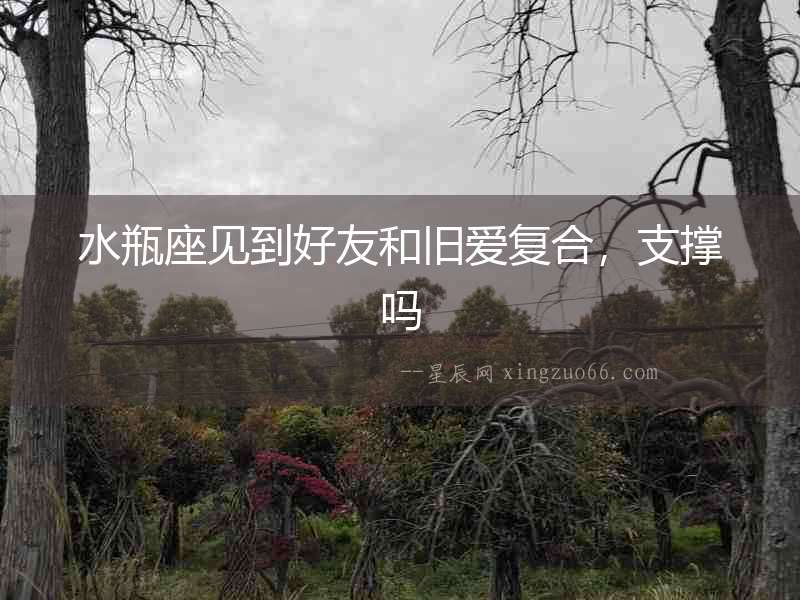 水瓶座見到好友和舊愛復合，支撐嗎