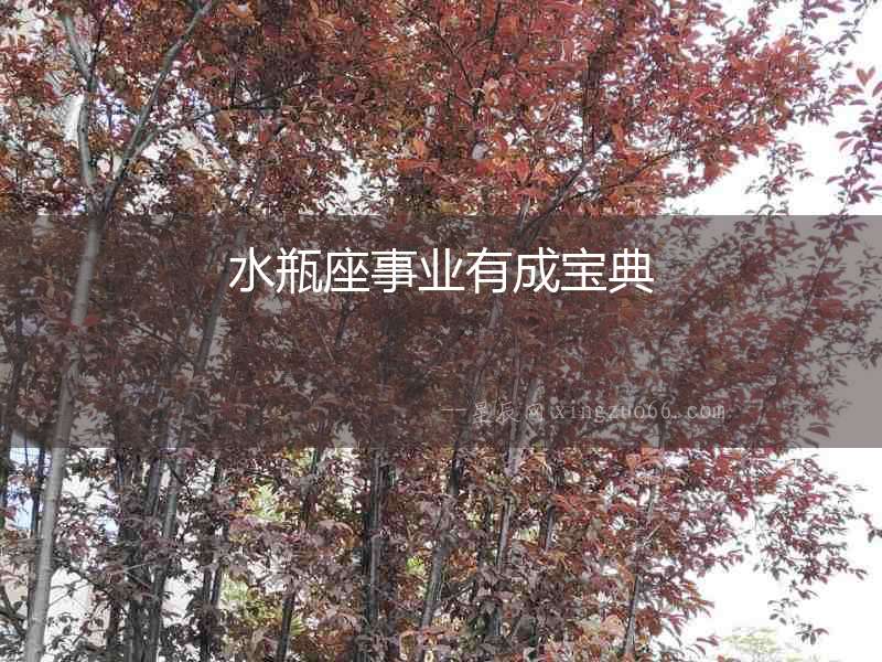 水瓶座事業(yè)有成寶典