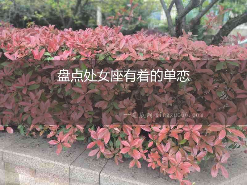 盤點處女座有著的單戀
