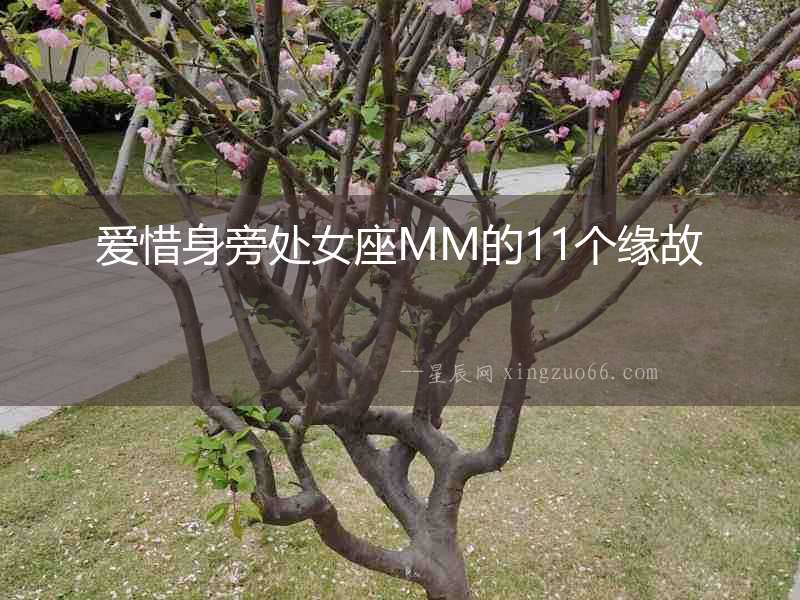 愛惜身旁處女座MM的11個緣故