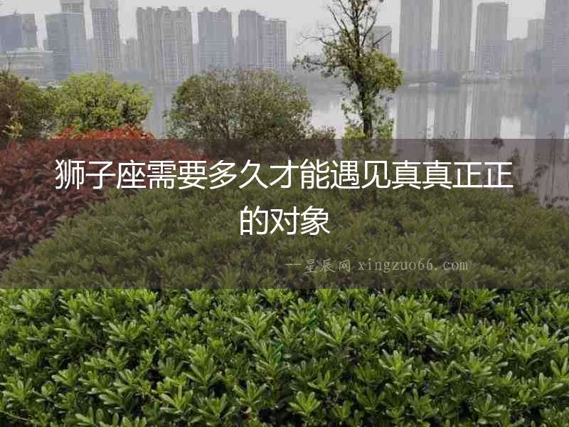 獅子座需要多久才能遇見(jiàn)真真正正的對(duì)象