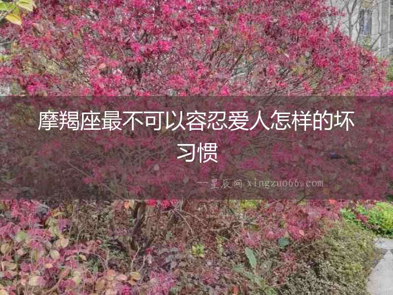 摩羯座最不可以容忍愛人怎樣的壞習(xí)慣