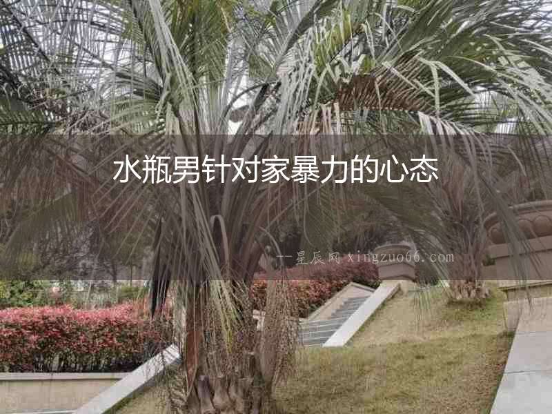 水瓶男針對(duì)家暴力的心態(tài)