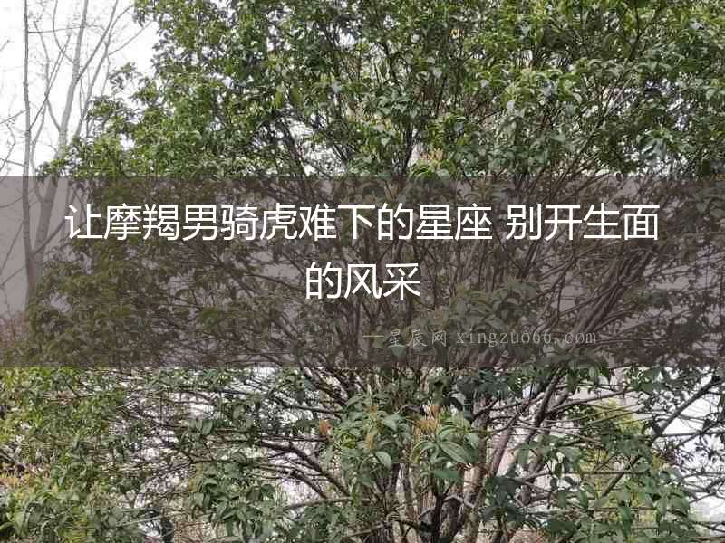 讓摩羯男騎虎難下的星座 別開生面的風(fēng)采
