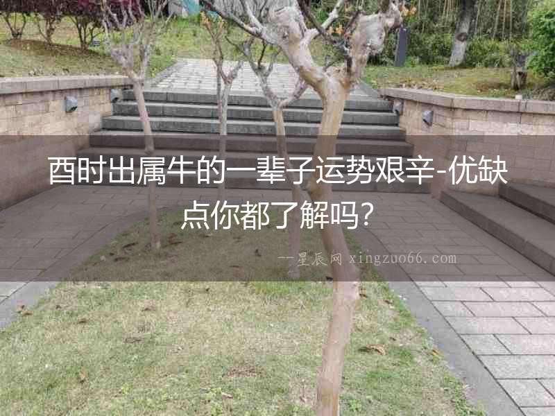 酉時出屬牛的一輩子運勢艱辛-優缺點你都了解嗎？