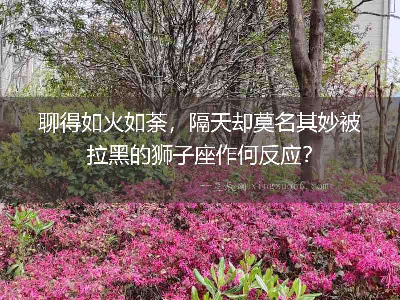 聊得如火如荼，隔天卻莫名其妙被拉黑的獅子座作何反應？