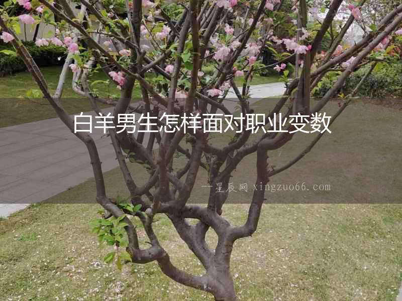白羊男生怎樣面對職業(yè)變數(shù)