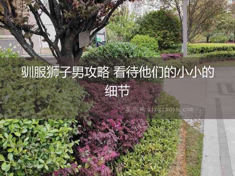 馴服獅子男攻略 看待他們的小小的細節
