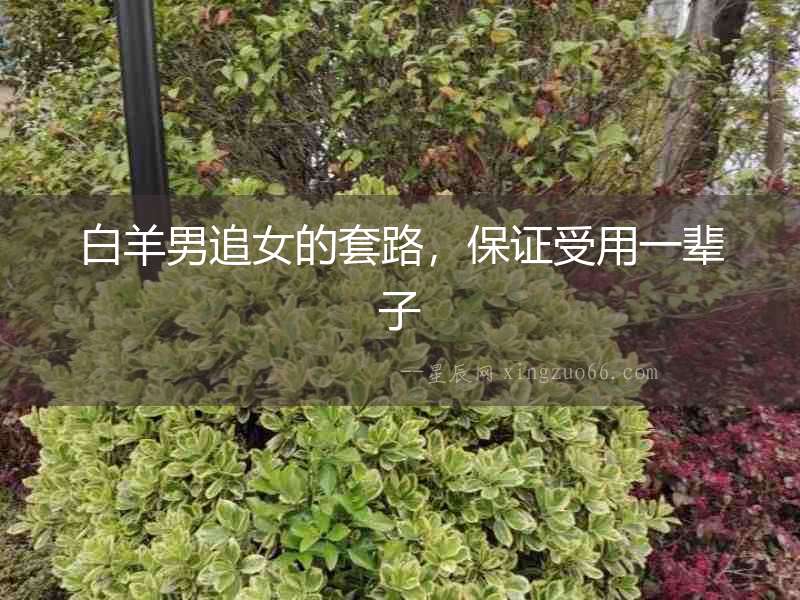白羊男追女的套路，保證受用一輩子