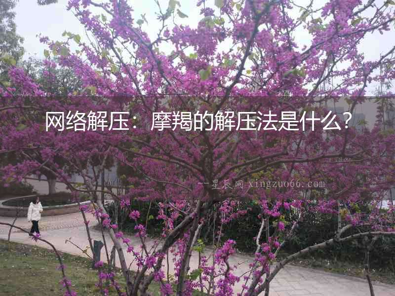 網(wǎng)絡(luò)解壓：摩羯的解壓法是什么？