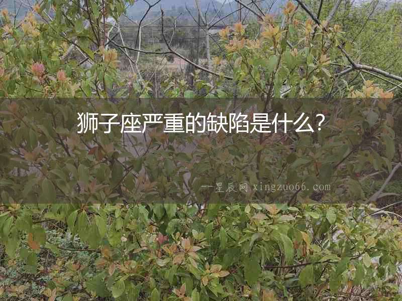 獅子座嚴重的缺陷是什么？