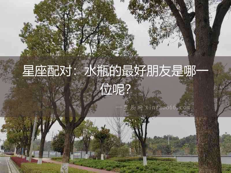星座配對：水瓶的最好朋友是哪一位呢？