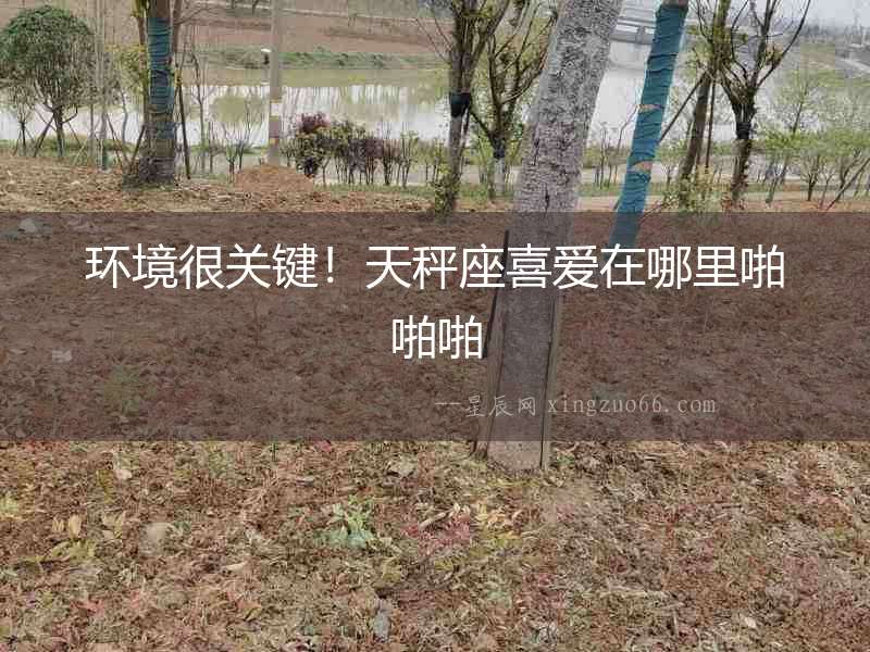 環境很關鍵！天秤座喜愛在哪里啪啪啪