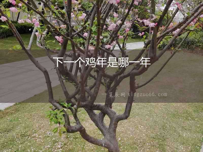 下一個(gè)雞年是哪一年