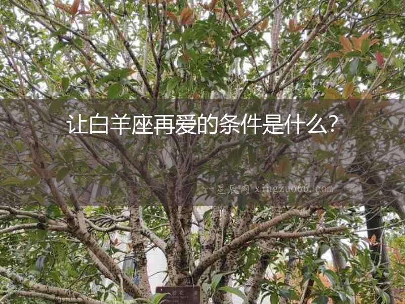 讓白羊座再愛的條件是什么？