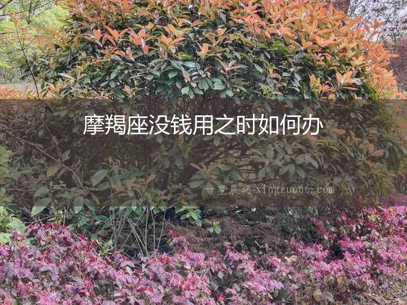 摩羯座沒錢用之時如何辦