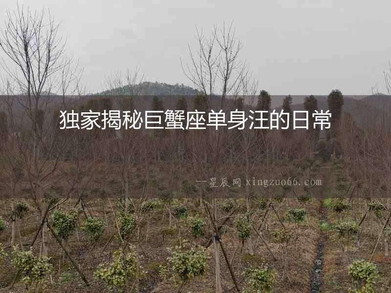 獨家揭秘巨蟹座單身汪的日常